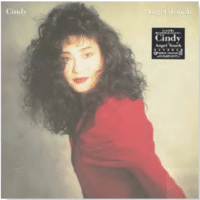 【美品】 Cozy 1998 2枚組レコード 山下達郎 Tatsuro Yamashita – Cozy – CD (Slipcase, Album), 1998